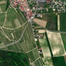Vue de Vignoble Daniel Coustheur