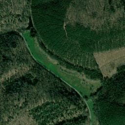 Vue de Abris du ruisseau de Schnepfenbach