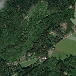 Vue de Cabanes dans les arbres Nids des Vosges