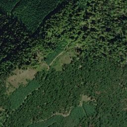 Vue de Source de Hirtzenstein