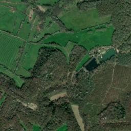Vue de Camping naturiste : Les étangs de Saint Pancras
