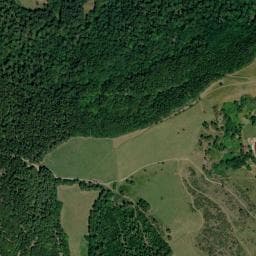 Vue de Abri forestier du Langenbach