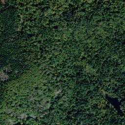 Vue de Abri forestier de l'etang du petit haut