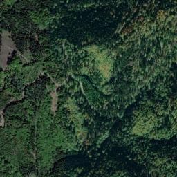 Vue de Abri de Sickertbach