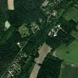 Vue de Sologne Autruches