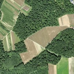 Vue de Forsthaus Birlibänz