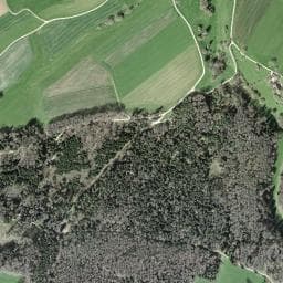 Vue de Cabane forestière de Fontenais