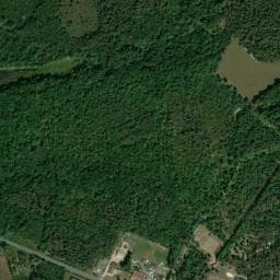 Vue de Camping municipal des Pins