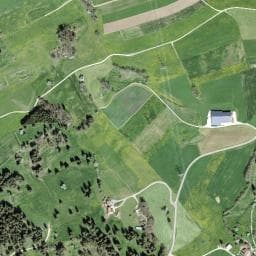 Vue de Cabane forestière de Plan-Marti