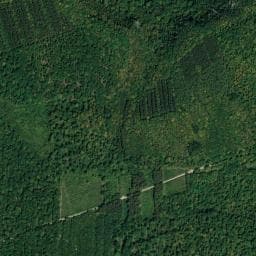 Vue de Bivouac à Morey-Saint-Denis