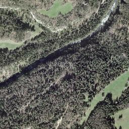 Vue de Abri de l'Antre du Loup