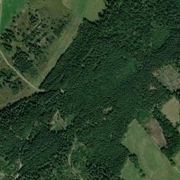 Vue de Cabane de forêt