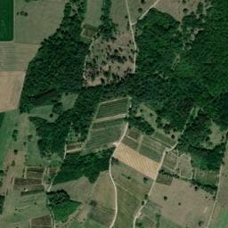 Vue de Caborde de la vigne conservatoire du Val d'Amour