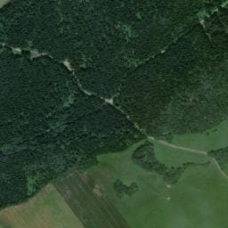 Vue de Abri forestier de Bovard