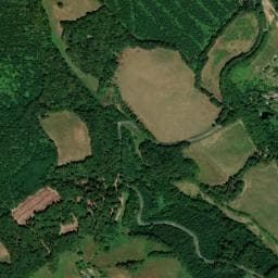 Vue de La forêt du Morvan