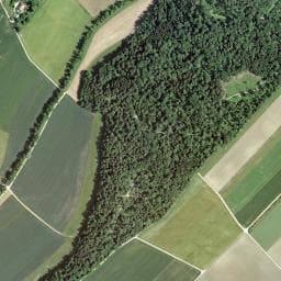Vue de Refuge du bois de Vuavre
