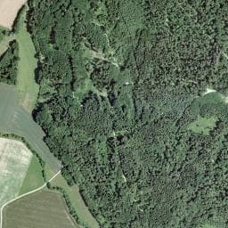 Vue de Abri des Grandes Perrauses