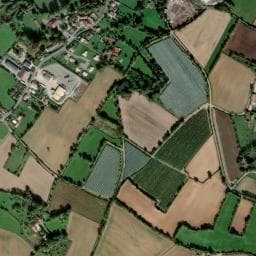 Vue de Les Amis de la Forêt
