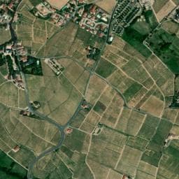 Vue de Grappe Fleurie