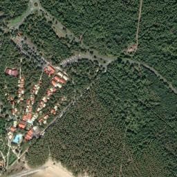 Vue de Aire Camping-Car Park de La Palmyre, Les pins de Cordouan