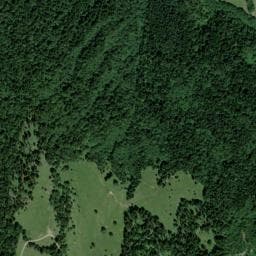 Vue de Cabane d'observation dans les arbres de Bottier