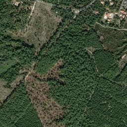 Vue de Camping Municipal les Oyats