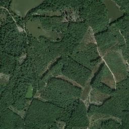 Vue de Abri forestier
