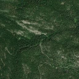 Vue de Baraque forestière des Bachassons