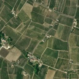 Vue de Vignoble Sautereau