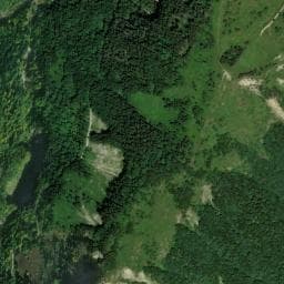 Vue de Baraque forestière du Veymont
