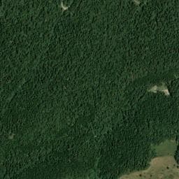 Vue de Baraque Forestière du Plainet