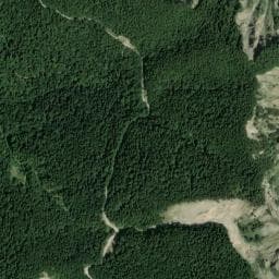 Vue de Baraque forestiere des Ponche