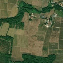 Vue de Vignobles Lobre et fils