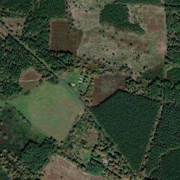 Vue de Camping des Landes d'Armagnac