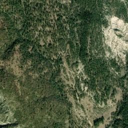 Vue de Gîte forestier des Blâches