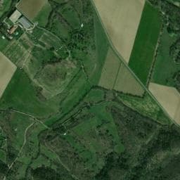 Vue de chataigne