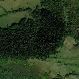 Vue de Cabane forestière du Piéjau