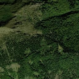 Vue de Refuge forestier de Gaffouil