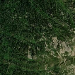 Vue de Cabane forestière forêt domaniale de l'Hospitalet