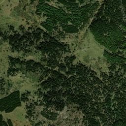 Vue de Abri Llobins