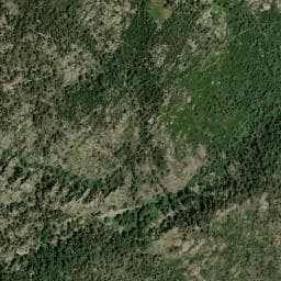Vue de Abri forestier de Forca