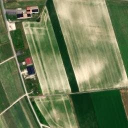 Vue satellite de Vignoble Daniel Coustheur à Nogent-l'Abbesse