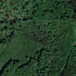 Vue satellite de Cabane de Kaiser-Wilhelm-Stein à Wingen