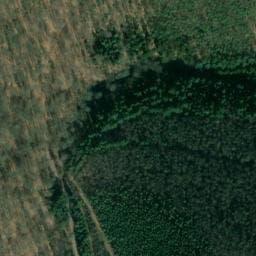 Vue satellite de Abri du Hichtenbach à Niedersteinbach