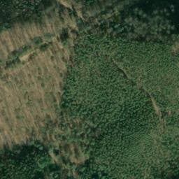 Vue satellite de Waldi à Obersteinbach