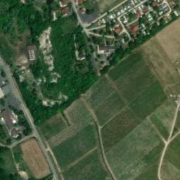 Vue satellite de Les Sapins des Vignobles à Villiers-Saint-Denis