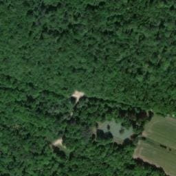 Vue satellite de Maison sylvestre le Nichoir à Fresnes-au-Mont