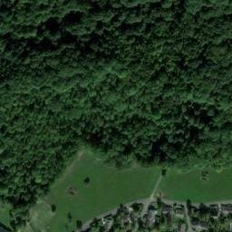 Vue satellite de Le Bois Boisseau à Cernay-la-Ville
