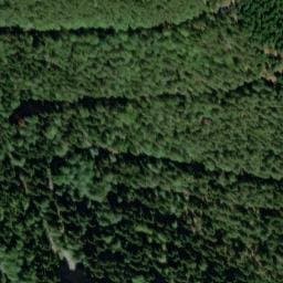 Vue satellite de Goldbrunnen à Wangenbourg-Engenthal