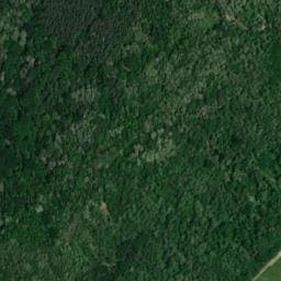 Vue satellite de Cabane du Wangenberg à Wangen
